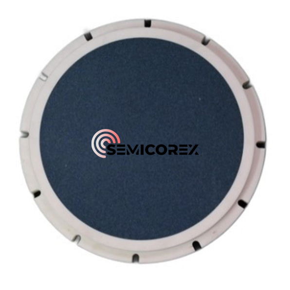 माइक्रोपोरस SiC चक्स