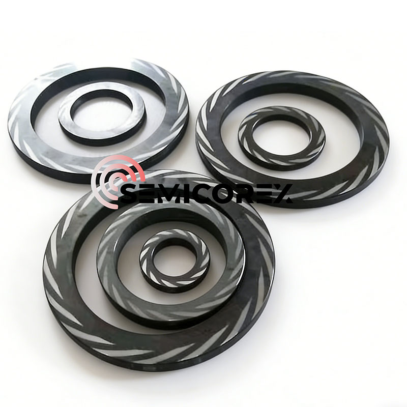 डीजीएस के लिए एसआईसी सील फेस